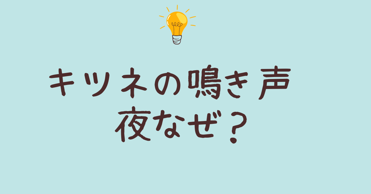 キツネはなぜ夜に鳴くのか？鳴き声の秘密を解説します